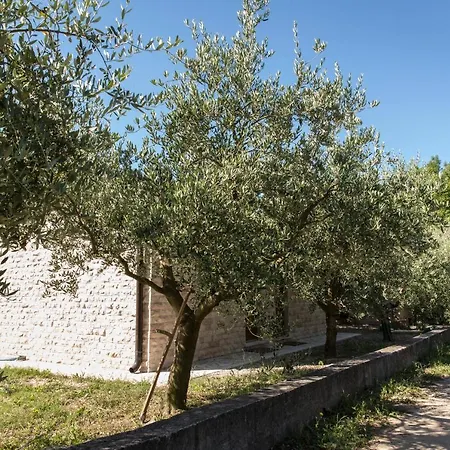 Hercegovka Capljina